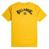 T-shirt Billabong Arch Wave Garçon Coton Manches Courtes