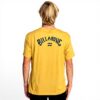 T-shirt Billabong Arch Wave Garçon Coton Manches Courtes