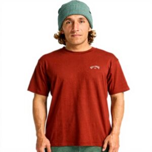 T-shirt Billabong homme délavé Arch Wave coton