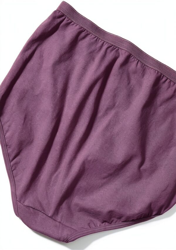 Culottes JMS 4XL Coloris Assortis Femme-1