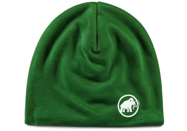 Mammut Gorro Taiss Light - Béret - Mixte-1