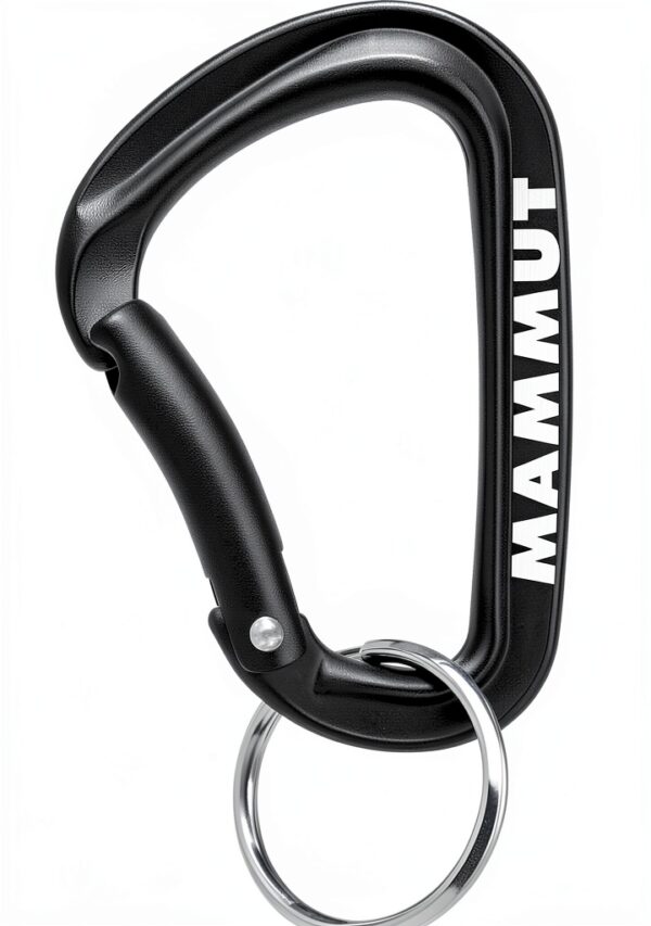 Mammut Mini Carabiner Classic Keylock S Noir Aluminium Taille unique-0